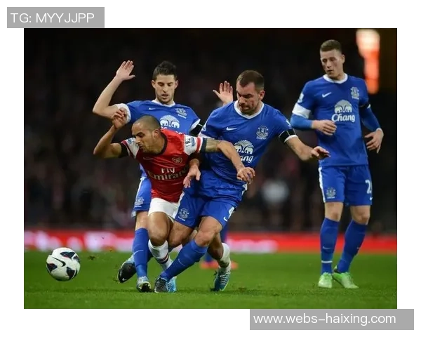 埃弗顿与布莱顿对决分析及比赛前景展望